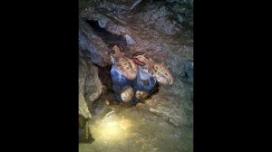 Натти Патти Джон Эдвард Джонс (Самая Жуткая И Страшная