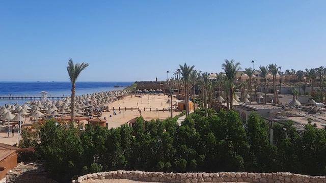 20250509_175844 смотреть онлайн