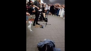 просто новое видео