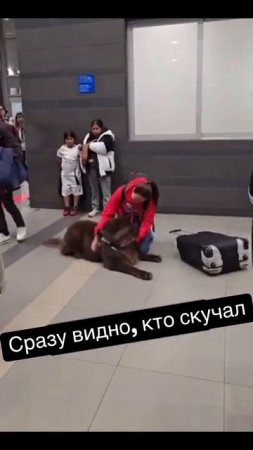Скучал без меня