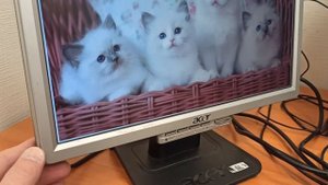 Монитор Acer AL1716