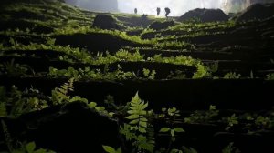 Пещера Шондонг- где расположена и как выглядит самая о