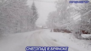 ЗИМНЯЯ СКАЗКА В БРЯНСКЕ. СНЕГОПАД В БРЯНСКЕ 23 НОЯБРЯ