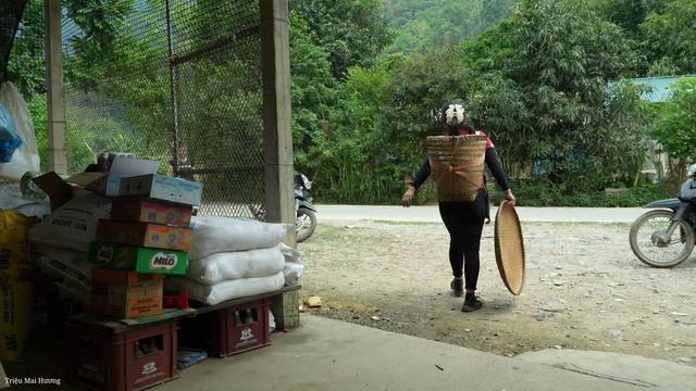 Harvesting CoVe Beans in the Garden and Bringing Them to the Market to Sell | Trieu Mai Huong
