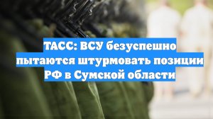ТАСС: ВСУ безуспешно пытаются штурмовать позиции РФ в Сумской области