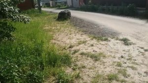 26-05-2025   пошла за домашними яйцами и лалала