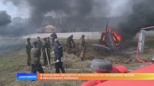 В Мордовии вводятся ограничения на посещение лесов в нескольких районах