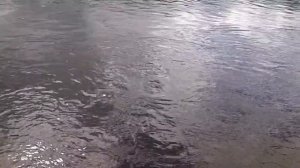 Павда, Свердловская область. Путешествие с центром "Ар