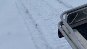 Катастрофа , снега нет. #polaris #сургут #klim