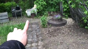 Победила муравьев и навела красоту. Посеяла кукурузу и пересадила лихнис