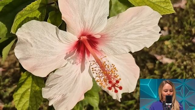 Официантка замерла увидев в богатом особняке фото св?