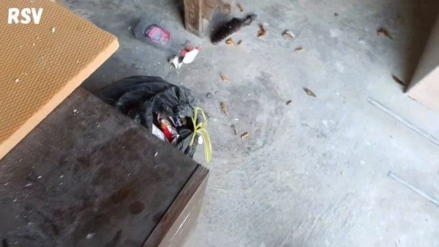 Нашёл винтажный аудиокомплекс Grundig! смотреть онлайн