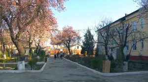 26-Мактаб Кува. Ферганская Долина