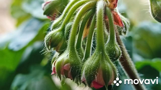 Минутка красоты от меня и моих девочек смотреть онлайн