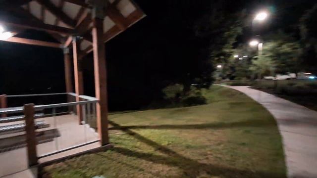 Большое озеро с крокодилами во Флориде_США смотреть онлайн