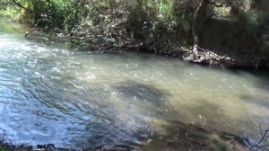 Израиль. Верхняя Галилея. Ручей Хермон -3ч