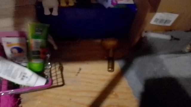 БЛОГ вечер сквиши собачек! смотреть онлайн