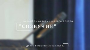 Ансамбль "Созвучие"