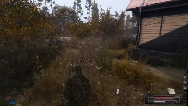 #2 С колен на корты | DayZ | Сервер Dead City STALKER RP | #survival #dayz #pv смотреть онлайн