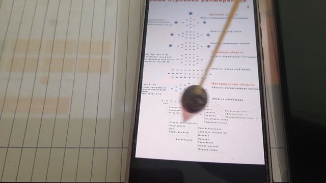 Программы патогенов в рамках генетических нарушений.? смотреть онлайн