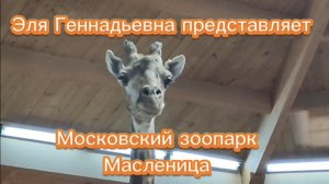 Московский зоопарк, занимательный конструктор и Масленица #элягеннадьевна #праздник