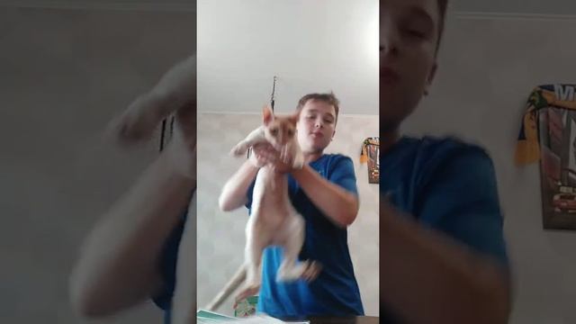 Лупим сниговика опять это снеговик;( смотреть онлайн