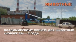Владимирскому приюту для животных «Ковчег-33» — 2 года