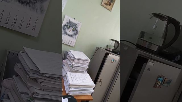 Подал в кассацию по административному делу по неустой смотреть онлайн