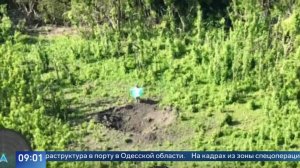 Десантники 83-й бригады подняли флаг ВДВ в Беловодах Сумской области: видео