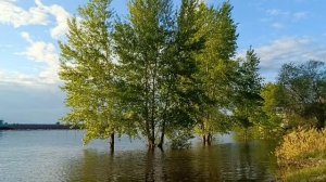 Широка наша Кама и прекрасна!!!