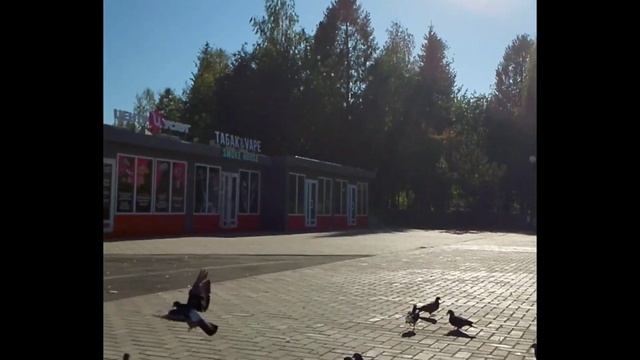 Готовлю вкусняшкиНаши крысятаРогалики со сгущ?