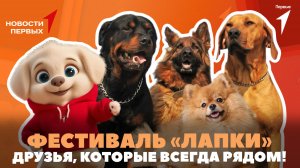 «Новости Первых»: Фестиваль дружбы с питомцами «Лапки» | Питомцы Первых | Экскурсия в Морской центр