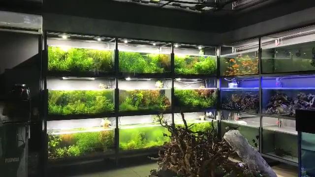 Тест мобильного приложения смотреть онлайн