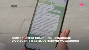 Более тысячи тюменцев, желающих заработать в сети, обманули мошенники