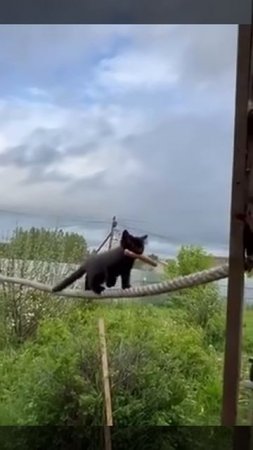 тот ещё касскадёр