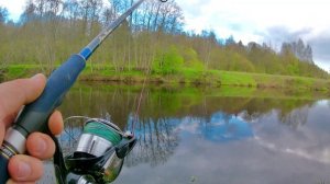 Окунь, щука. В мае, малая река.