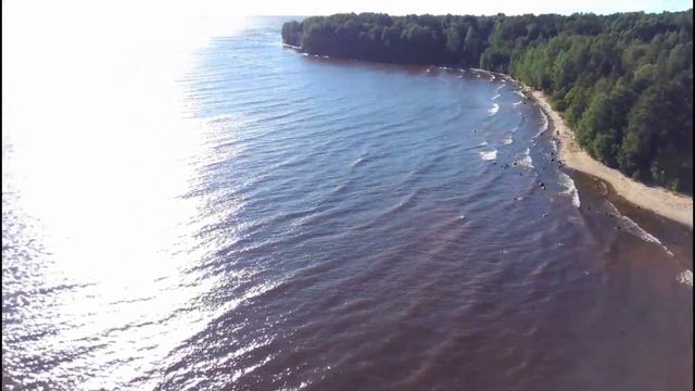Один из пляжей,Онежского оз.Береговые находки.Пейзаж. смотреть онлайн