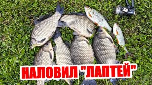 МАЙСКИЕ "ЛАПТИ" НА МАХОВУЮ УДОЧКУ!