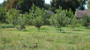 PANASONIC 12-60MM F3.5-5.6  РЕЗКОСТЬ, ДИСТАНЦИИ, ЦВЕТА ОБЪЕКТИВА