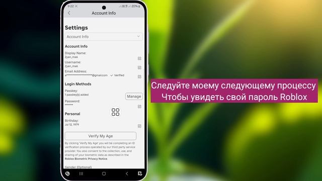 Как увидеть пароль вашего аккаунта Roblox (если вы его за?