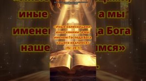 «Иные колесницами, иные конями, а мы именем Господа Бо?