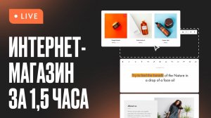 Создание интернет-магазина на Тильде