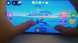 игра с котятами (ROBLOX)