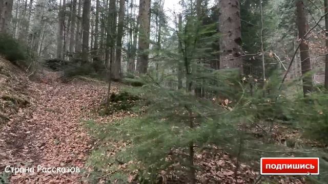 Муж не отключив телефон после разговора с женой, и она смотреть онлайн