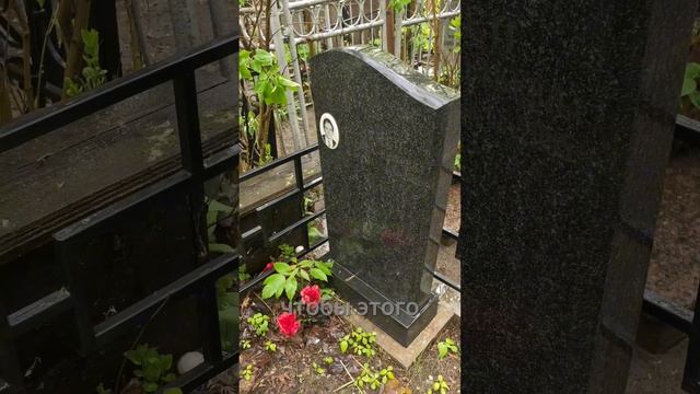 Антидождь для чего применять?