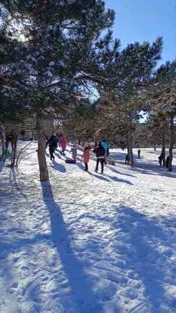Снег в Крыму/ Симферополь/ Зима