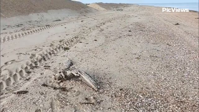Анапа Мазут на пляже! Пляж Витязево сегодня 26 мая 2025. Море и погода в Анапе сейчас перед сезоном