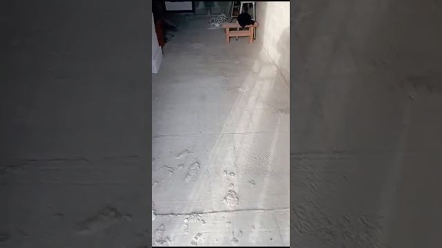 балкон установлен, двери стоят, блоки лежат смотреть онлайн