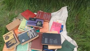 Радио находки. Блошиный Радиорынок, Что нового?