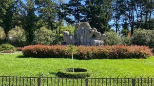 Сочи, нижний парк Дендрария май 2025 года